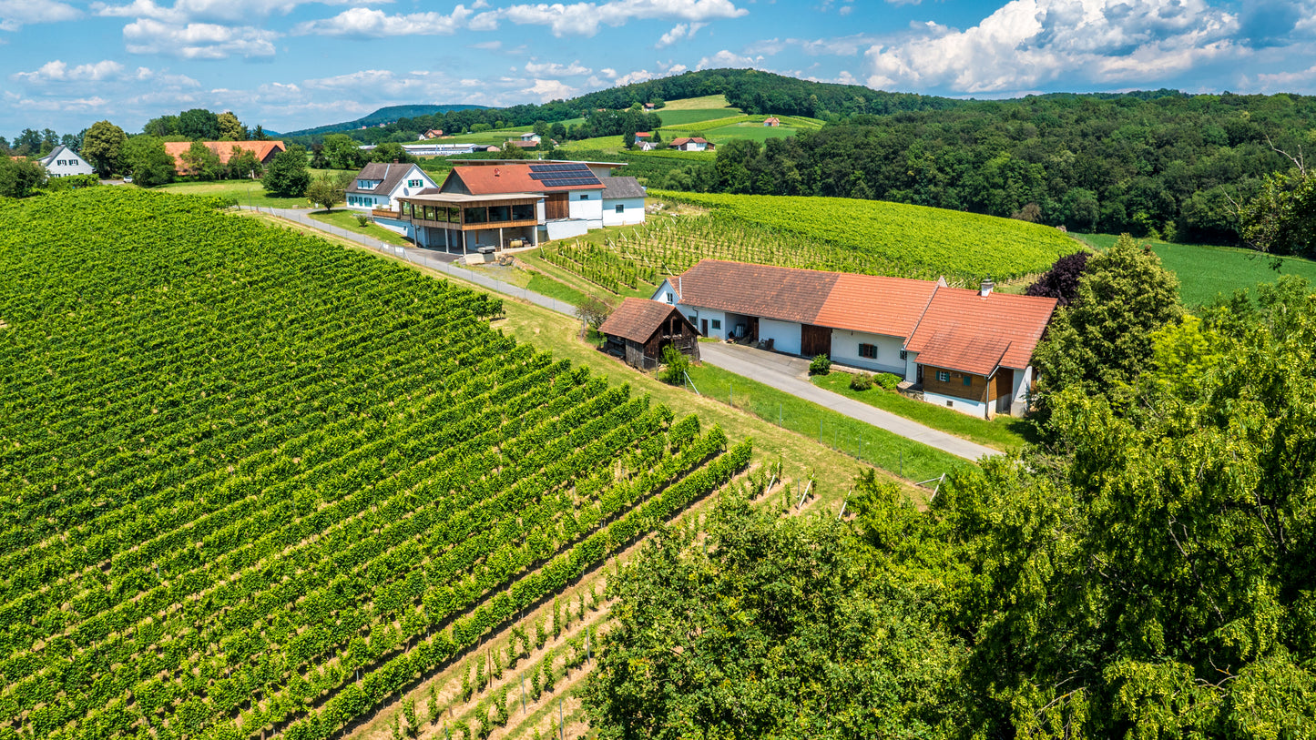 Weinreisewochenende im kleinen Appartement